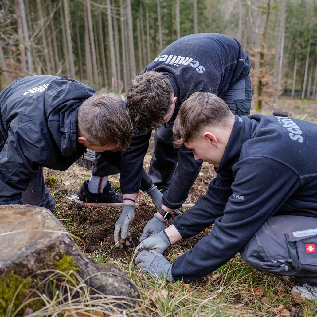 Schüller tree-planting 