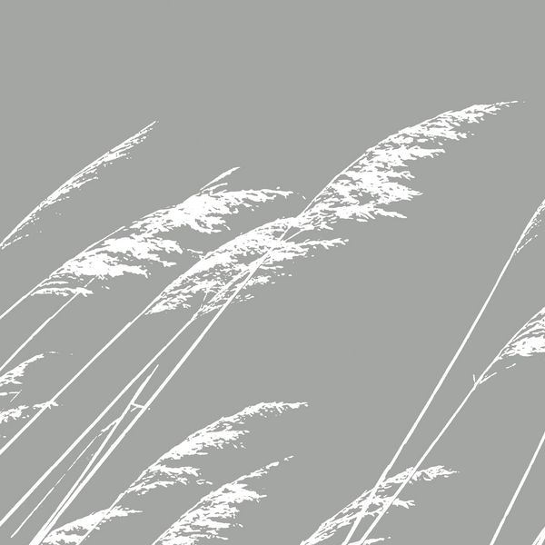 Wand- en nisbekledingen van glas – GM12L Gras in de wind