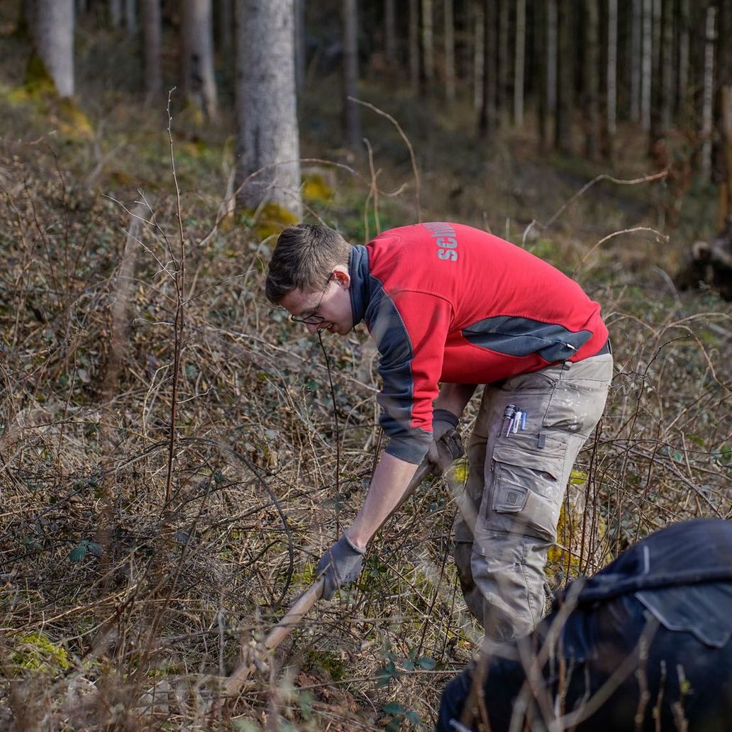 Schüller Tree-planting campaign