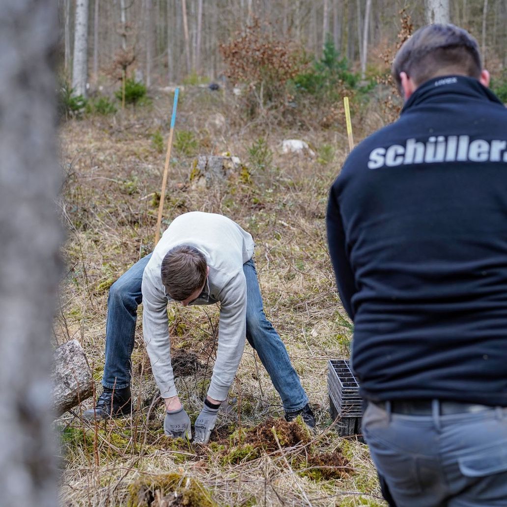Schüller Baumpflanzaktion
