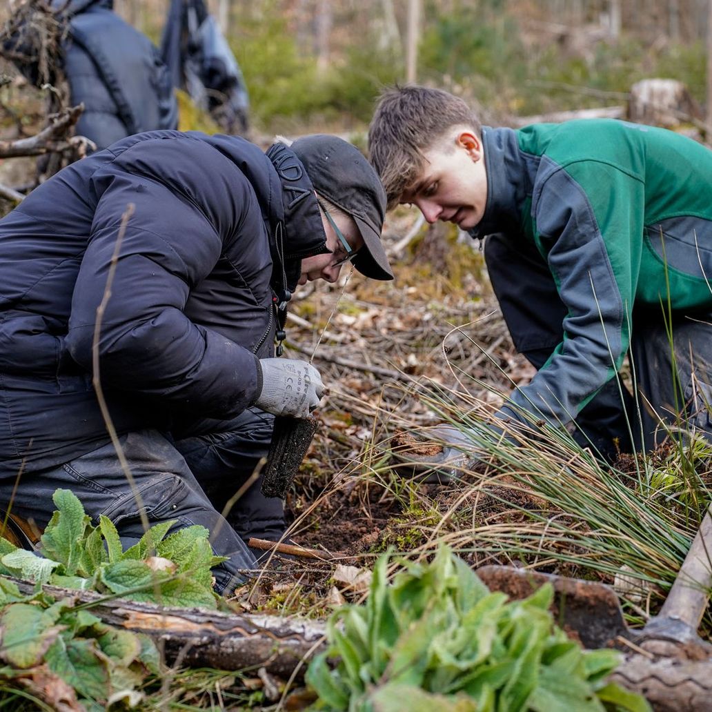 Schüller Tree-planting campaign